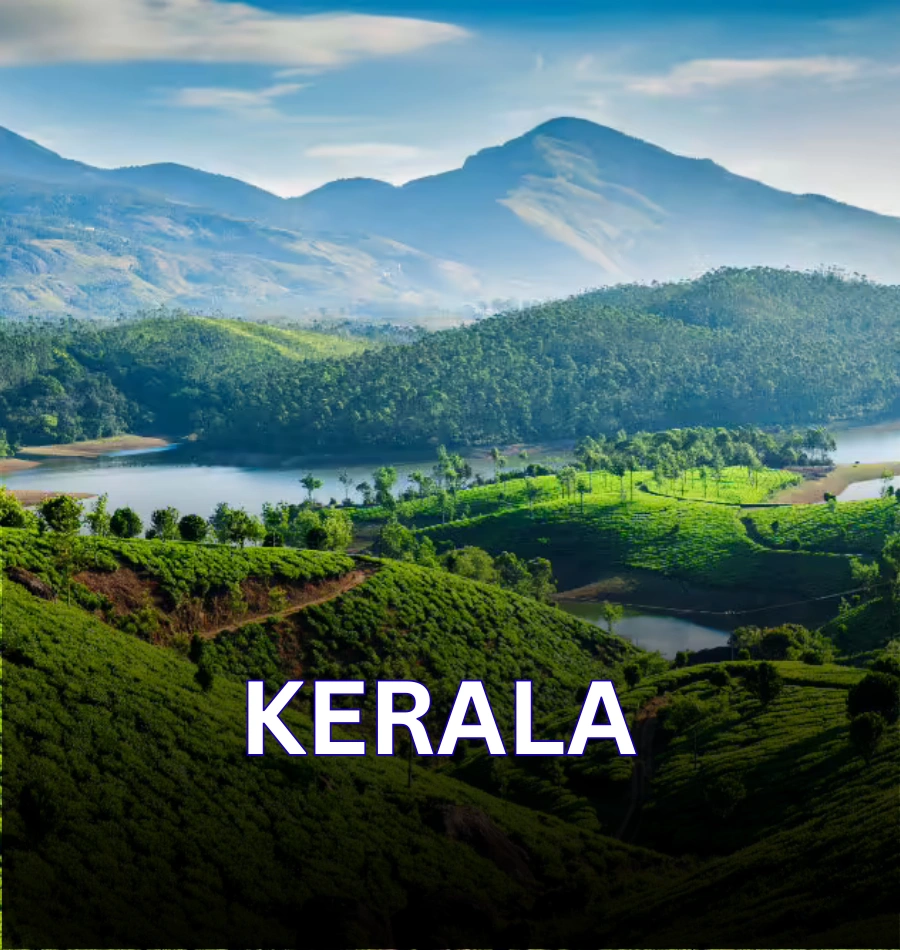 B.Tech for Working Professionals in Kerala