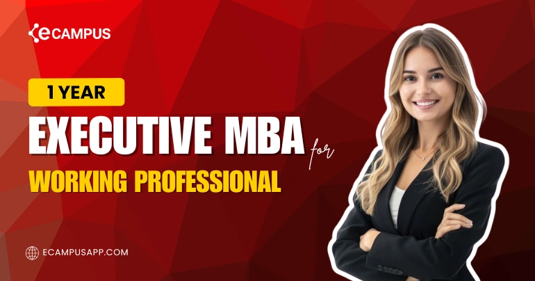 1 Year Executive MBA