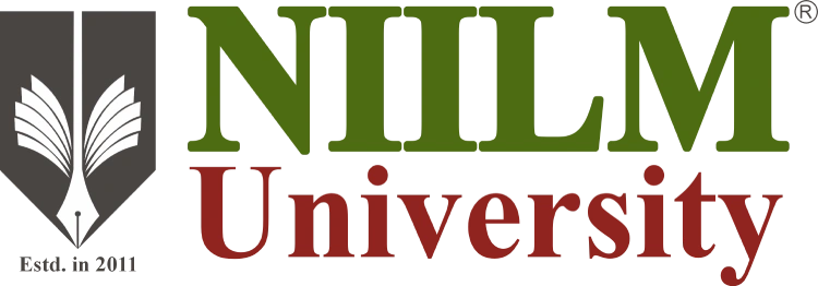 NIILM University